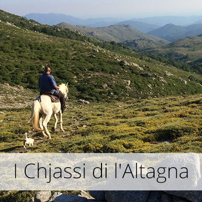 monatgne-corse-cheval